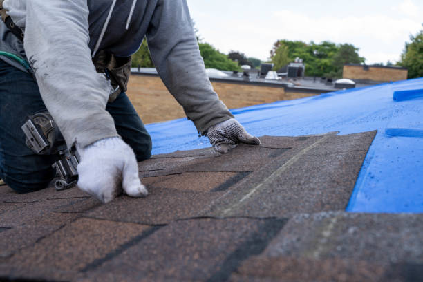 Best Residential Roofing Contractor  in Lake View, AL